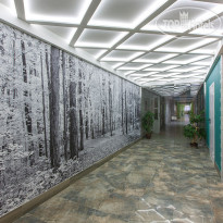 Алтайский замок 