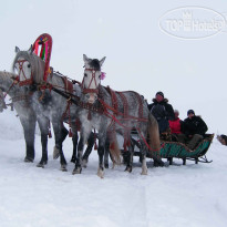 Центросоюз РФ 