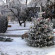 Понарт 