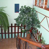 Санако
