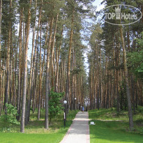 Красиво
