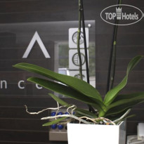 Villa Residence Hotel