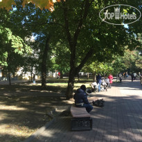 Дворянское Гнездо 