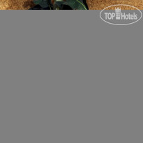 Шери Холл Зона отдыха в сауне