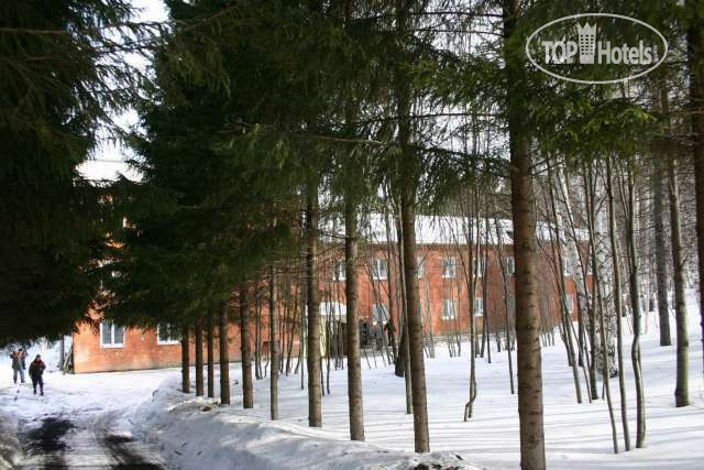 New photos from tourists Лесная сказка