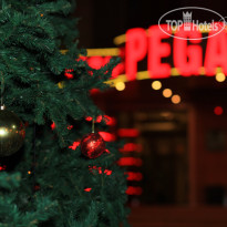 Pegas Hotel 