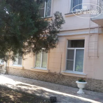 Сосновая роща 