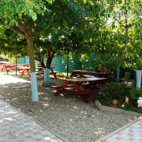 Lavrio Европейские столы в тени дерев