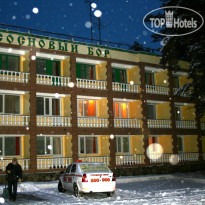 Сосновый бор