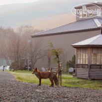 Санта Ризот Отель 