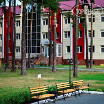 Красная гвоздика 