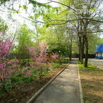 Лагуна Территория отеля