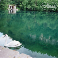 Долина Нарзанов 