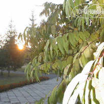Коммунальник