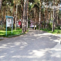 Прииртышье