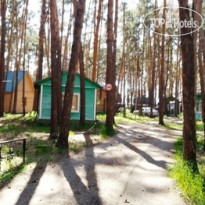 Прииртышье