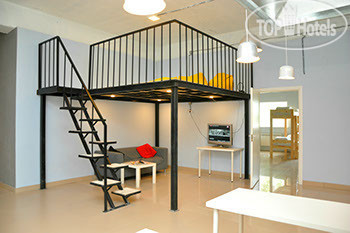 New photos from tourists Husky Hostel