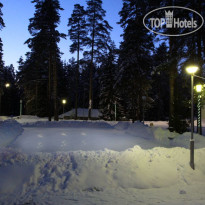 Сосновый бор 