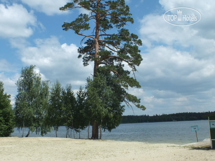 New photos from tourists Прибрежный