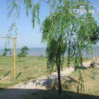 У Лукоморья