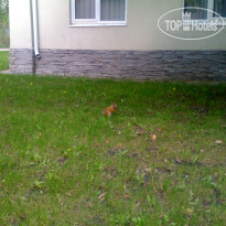 Серебряный Бор 