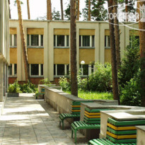 Серебряный Бор 