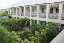 Солнечная Орхидея