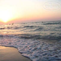 Золотой Слон 