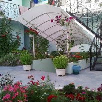 Green Yard