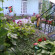 Green Yard