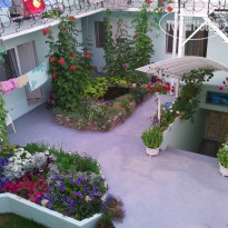 Green Yard