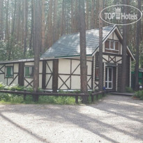 Барские сосны 