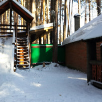 Барские сосны
