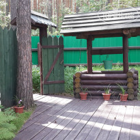 Барские сосны