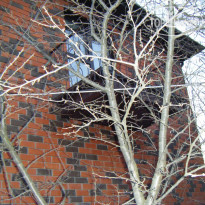 Милый Дольче Вита 