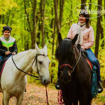 Милый Дольче Вита Прогулки на лошадях