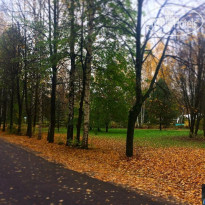 Зеленый городок