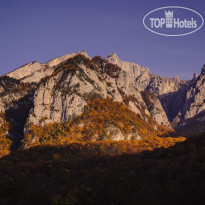 Forrest Terrace Hotel