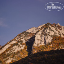 Forrest Terrace Hotel