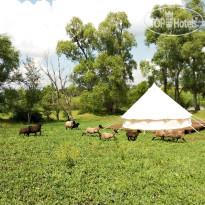 FamilyGlamp Kulikovo Pole