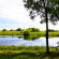 FamilyGlamp Kulikovo Pole 