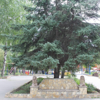 Полет 