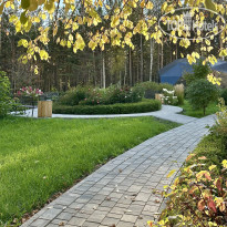 Сосновый бор 