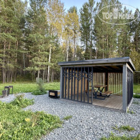 Сосновый бор 