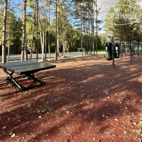 Сосновый бор 