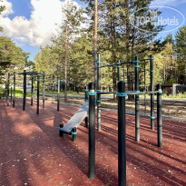 Сосновый бор 