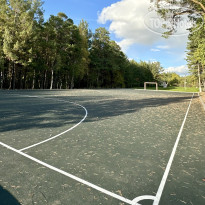 Сосновый бор 