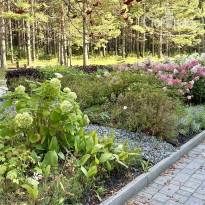 Сосновый бор 