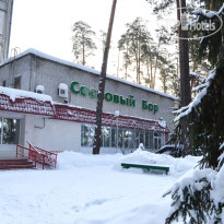 Сосновый Бор 