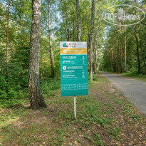 Зеленый городок